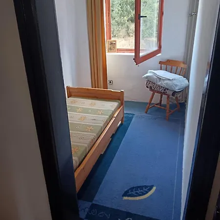 Hostel тинтява Sofia