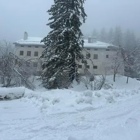 Hostel тинтява